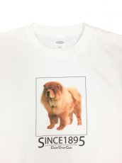 画像2: Chow Chow Club TEE  (2)