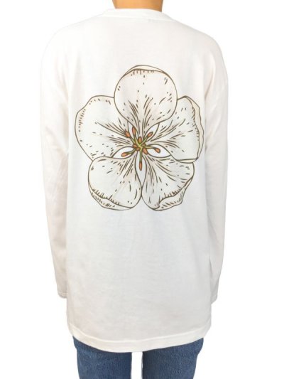 画像3: APRICOT  L/S  TEE