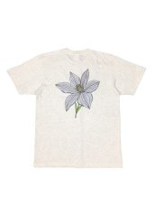 画像1: CASABLANCA TEE  (1)